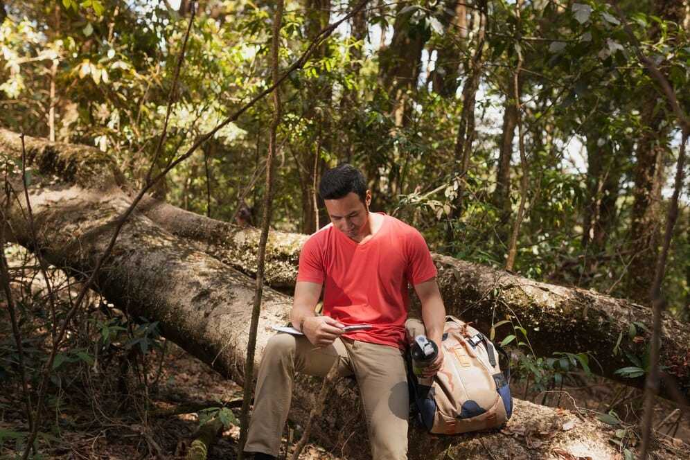 As awareness of environmental issues grows, more travelers are seeking ways to reduce their carbon footprint and make eco-conscious choices while exploring new destinations.