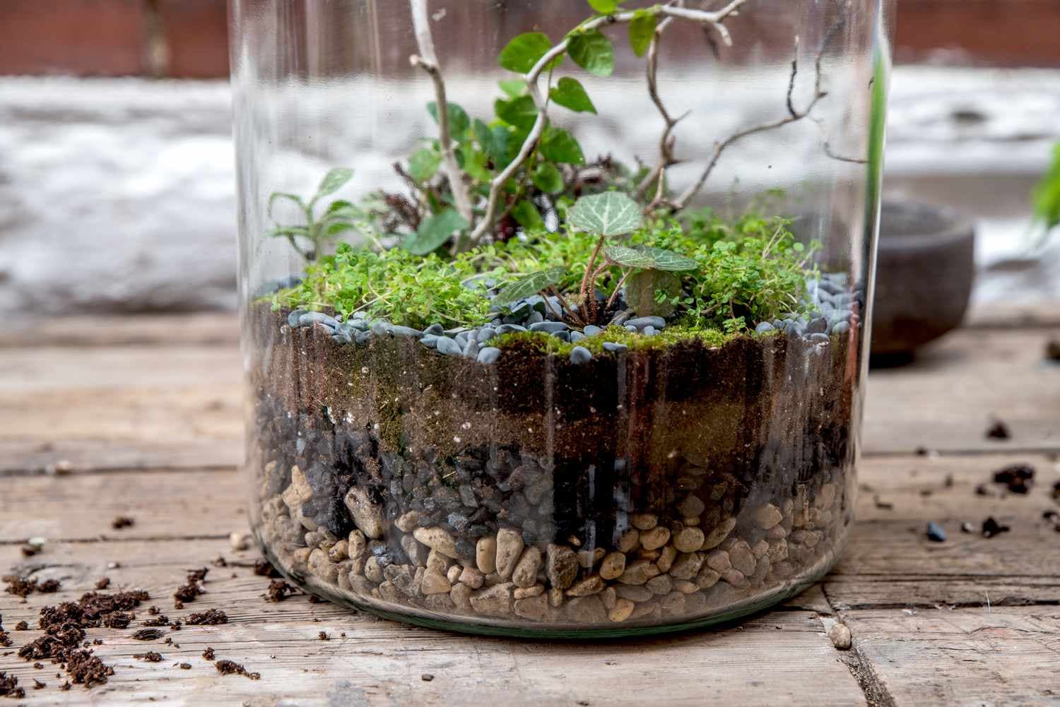 garden-in-a-glass-the-world-of-terrariums